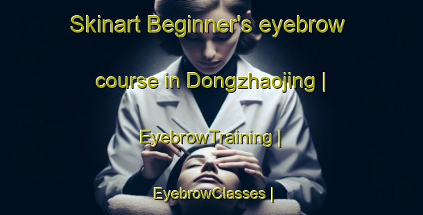 Skinart Beginner's eyebrow course in Dongzhaojing | EyebrowTraining | EyebrowClasses | SkinartTraining-China
